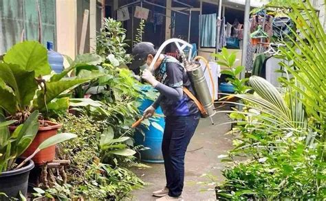 tagum city restaurants|Dengue cases in Tagum swell .